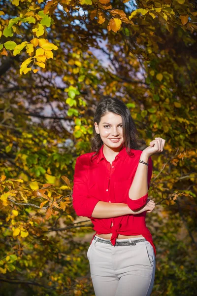 Belle jeune brune jouit d'une journée ensoleillée d'automne dans la nature — Photo