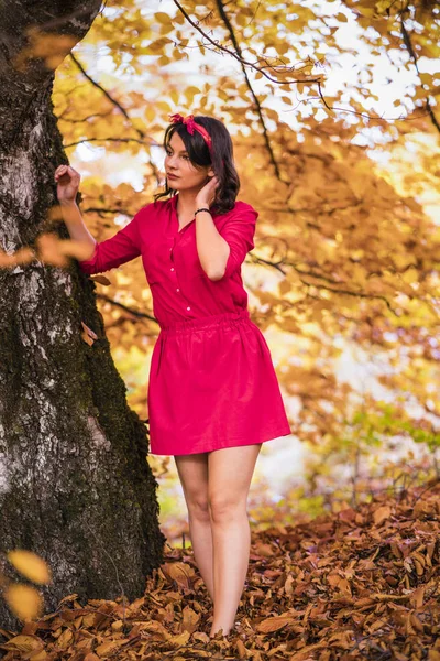 Piękna młoda brunetka cieszy się słoneczny dzień jesieni w przyrodzie — Zdjęcie stockowe