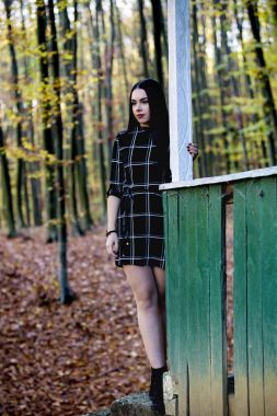 Sonbahar ormanın yakınında güzel bir esmer ile resmi bir