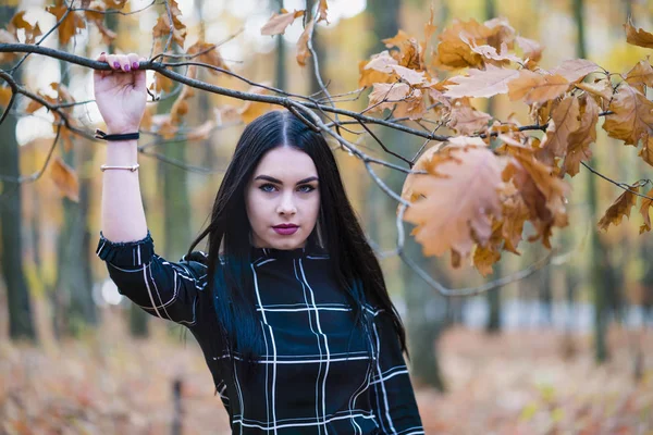 Una hermosa y elegante morena posando en el bosque durante aut —  Fotos de Stock