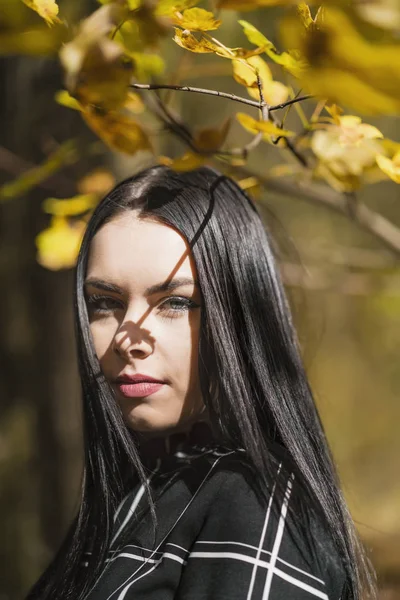 一个美丽而优雅的黑发在森林中冒充 — 图库照片