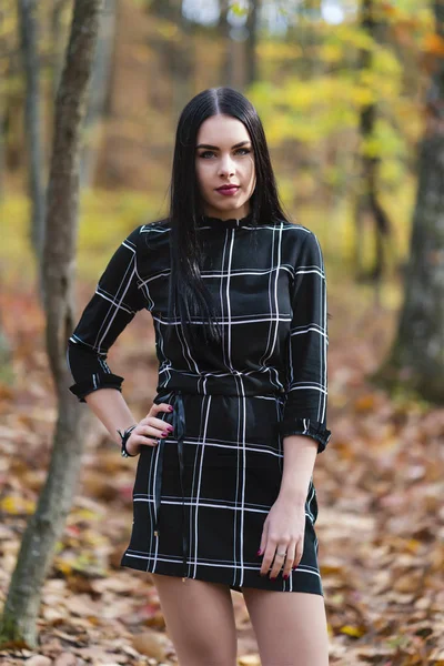 Een mooi en elegant brunette poseren in het bos tijdens aut — Stockfoto