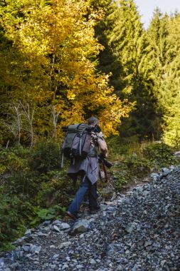 Uzun yürüyüşe çıkan kimse dağın ormanın içinde bir iz sırt ile