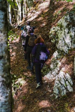 Ormanın içinden hiking turist grup