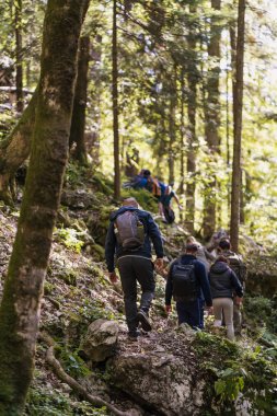 Ormanın içinden hiking turist grup