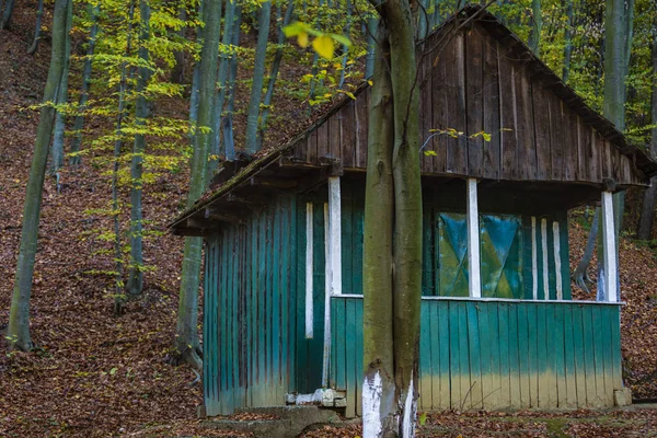 Une maison en bois verte dans la forêt — Photo