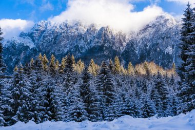 Beautiful winter landscape with Carpati Piatra Craiului mountain