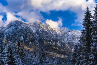 Beautiful winter landscape with Carpati Piatra Craiului mountain
