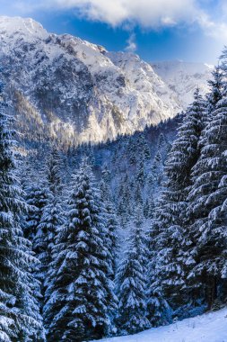 Beautiful winter landscape with Carpati Piatra Craiului mountain