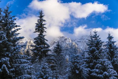 Beautiful winter landscape with Carpati Piatra Craiului mountain