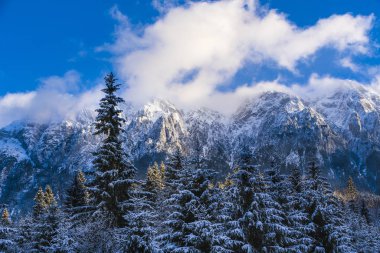 Beautiful winter landscape with Carpati Piatra Craiului mountain