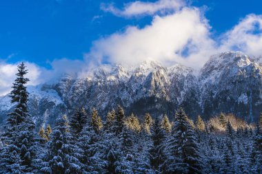 Beautiful winter landscape with Carpati Piatra Craiului mountain