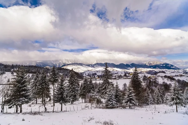 Beautiful winter landscape with Carpati Piatra Craiului mountain — Stock fotografie