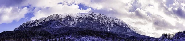 Panorama con paesaggio invernale con Carpati Piatra Craiului moun — Foto Stock