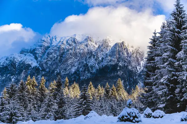 Beautiful winter landscape with Carpati Piatra Craiului mountain