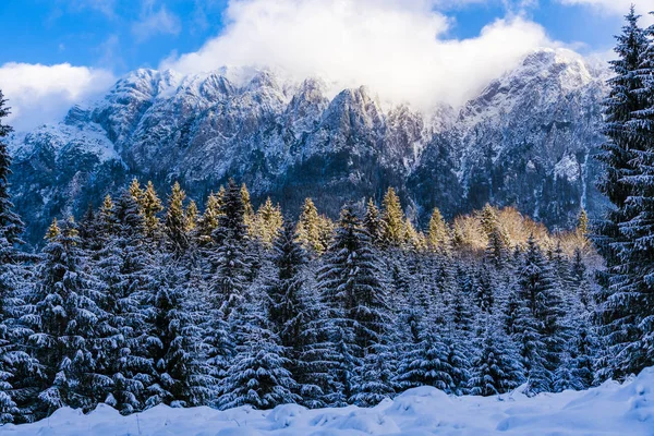 Beautiful winter landscape with Carpati Piatra Craiului mountain