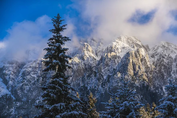 Beautiful winter landscape with Carpati Piatra Craiului mountain