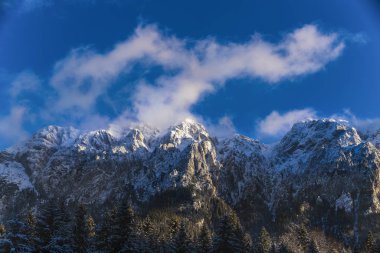 Beautiful winter landscape with Carpati Piatra Craiului mountain