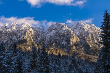 Beautiful winter landscape with Carpati Piatra Craiului mountain
