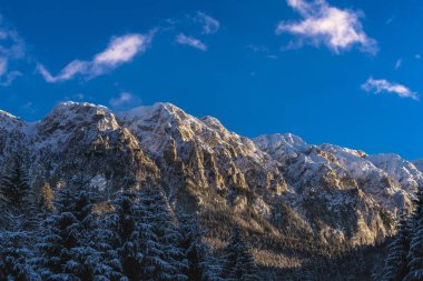 Beautiful winter landscape with Carpati Piatra Craiului mountain
