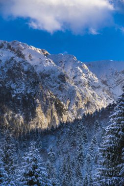 Beautiful winter landscape with Carpati Piatra Craiului mountain