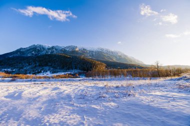 Beautiful winter landscape with Carpati Piatra Craiului mountain