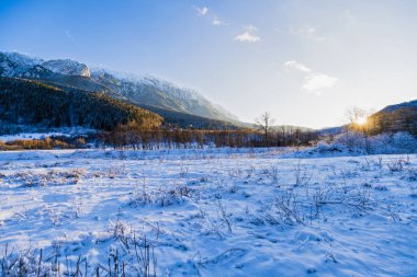 Beautiful winter landscape with Carpati Piatra Craiului mountain