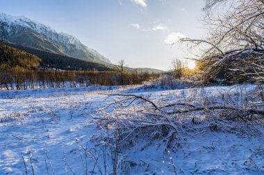 Beautiful winter landscape with Carpati Piatra Craiului mountain