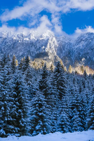Beautiful winter landscape with Carpati Piatra Craiului mountain