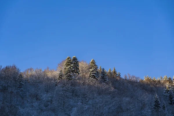 冬季美丽的山景 — 图库照片