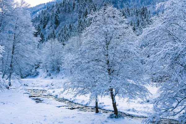 Bela paisagem de montanha no inverno — Fotografia de Stock