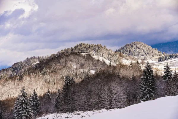 Güzel kış manzara Romanya'da Bucegi Dağları ile — Stok fotoğraf