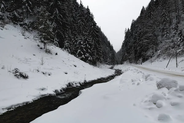 Bellissimo scenario con un fiume di montagna durante l'inverno — Foto Stock