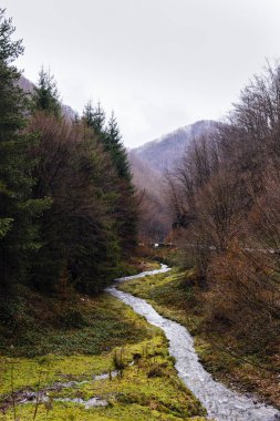 dağlarda sonbahar Nehri