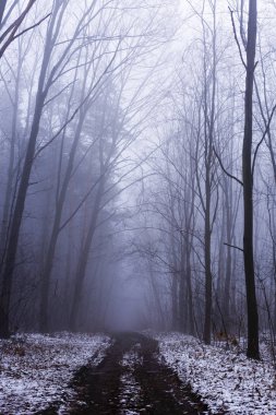 Kış dağ yolu ile manzara
