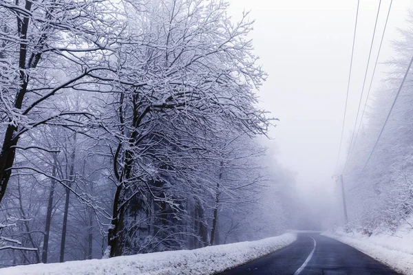 Kış dağ yolu ile manzara — Stok fotoğraf