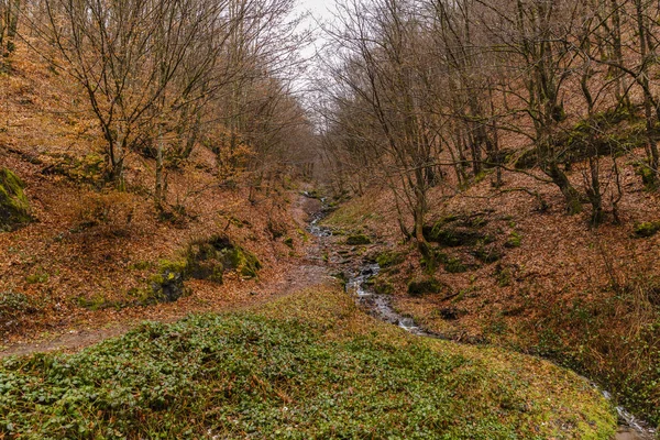 De rivier van de herfst in de bergen — Stockfoto