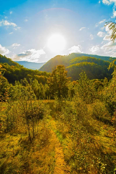 Landskap med skogsbeklädda kullar hösten — Stockfoto