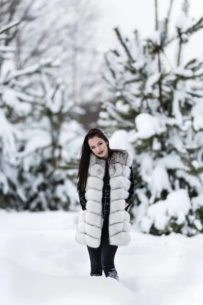 Portret van de winter met een vrouw met gekleurde ogen — Stockfoto