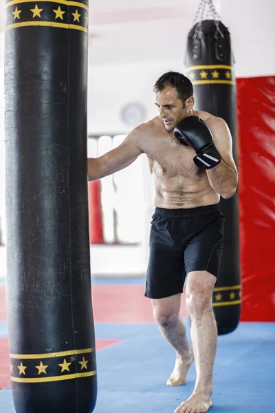 Μαχητής Kickbox κατάρτισης σε ένα γυμναστήριο με σακούλες διάτρησης, δείτε το σύνολο — Φωτογραφία Αρχείου