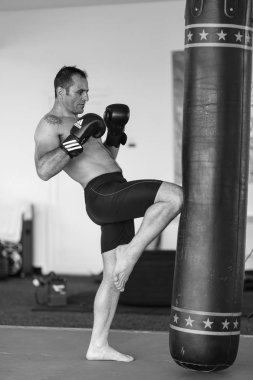 Kickboks Pitesti Romanya Master Marius C tarafından tanıtımı