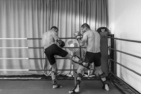 Apresentação do kickboxing em Pitesti Roménia pelo Sensei Marius C — Fotografia de Stock