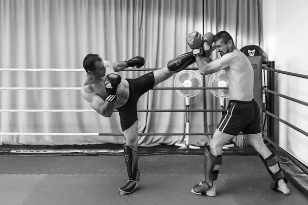 Prezentacja kickboxing w Pitesti Rumunii przez Sensei Marius C — Zdjęcie stockowe