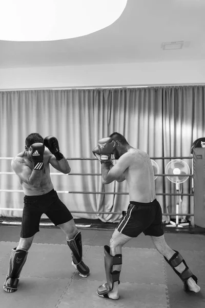 Prezentacja kickboxing w Pitesti Rumunii przez Sensei Marius C — Zdjęcie stockowe