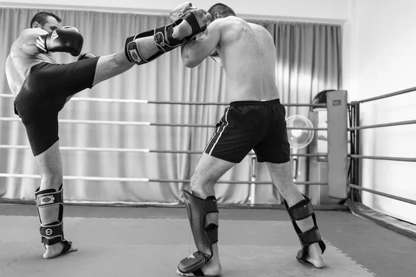 先生マリウス c ピテシュティ ルーマニアのキック ボクシングのプレゼンテーション — ストック写真