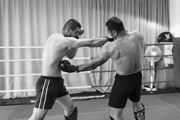 Presentation av kickboxning i Pitesti Rumänien av Sensei Marius C — Stockfoto