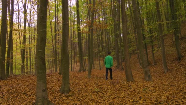 Людина Йде Лісом Восени — стокове відео