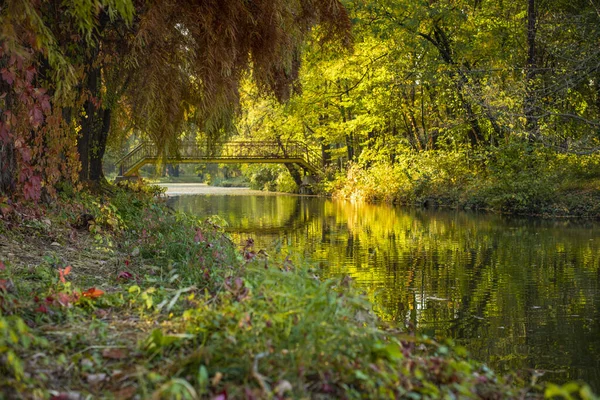 Autunno - Ponte vecchio nel parco nebbioso autunnale — Foto Stock