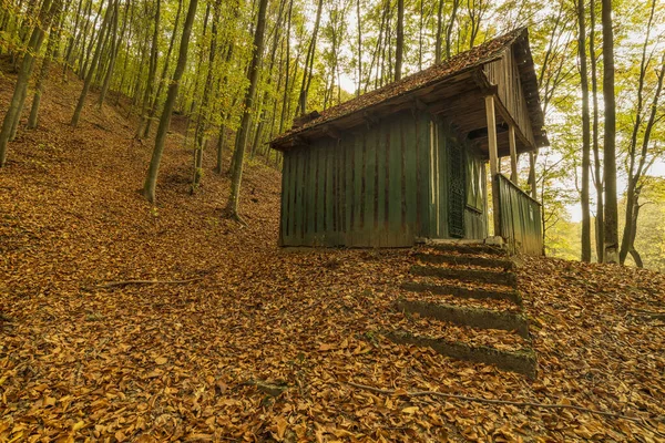 Старая деревянная хижина в осеннем лесу, усыпанная листьями — стоковое фото