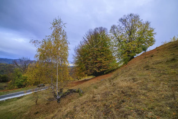 Bela paisagem de outono em um dia de novembro . — Fotografia de Stock